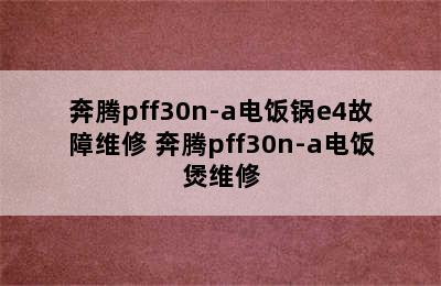 奔腾pff30n-a电饭锅e4故障维修 奔腾pff30n-a电饭煲维修